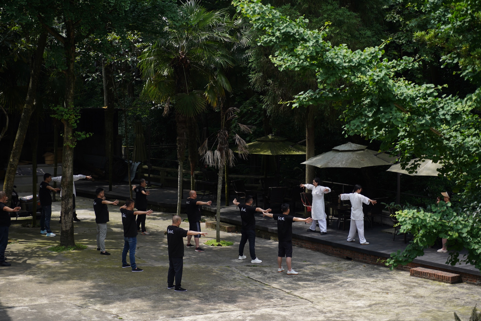 A group practising standing forms